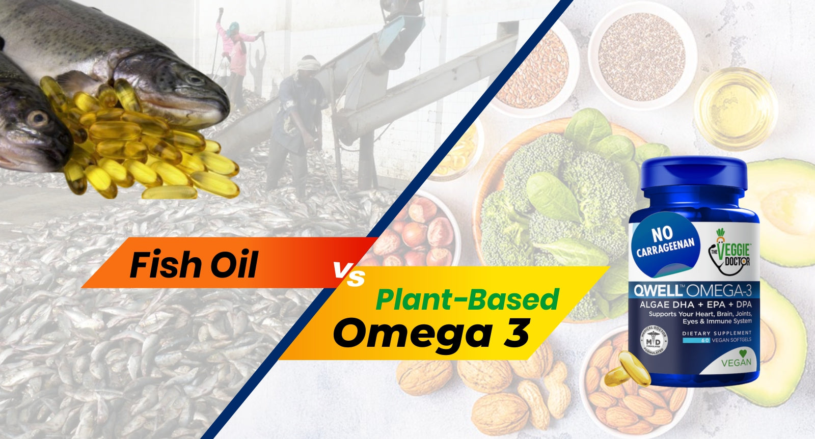 Fish Oil vs Plant-Based Omega-3: Understanding the Key Differences