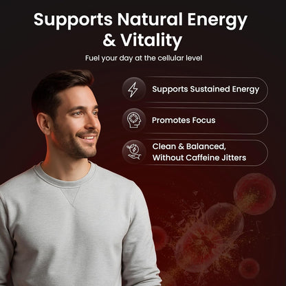 Vegan Mitochondrial Support | Daily Support (60 Capsules)