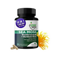 Sea Moss Vitality | Immunity + Detox Boost